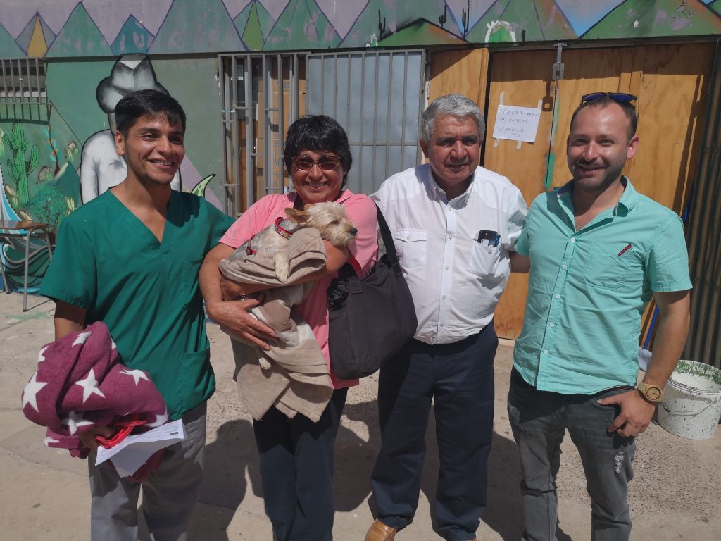 125 mascotas fueron intervenidas en jornada de esterilización en Ovalle 1 125 mascotas fueron intervenidas en jornada de esterilización en Ovalle