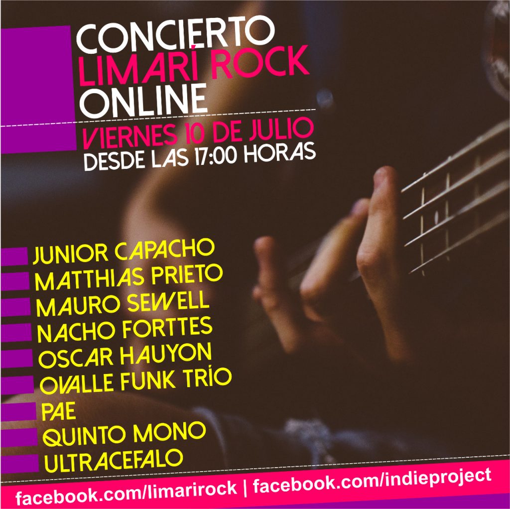 Bandas del Valle del Limarí invitan a Concierto Online 1 Bandas del Valle del Limarí invitan a Concierto Online