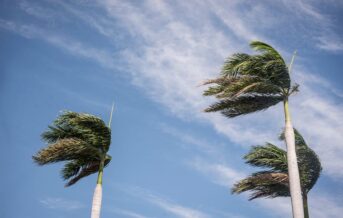 Declaran Alerta Temprana Preventiva para ocho comunas de la región por viento
