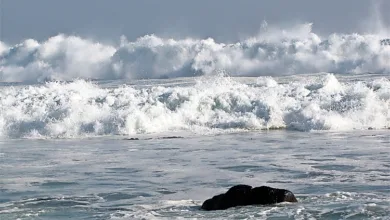 Alerta por marejadas en las costas de la region de Coquimbo