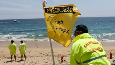 Fragata Portuguesa: Prohíben Baño en otra playa de la región de Coquimbo