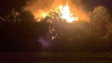 Tragedia en Salamanca: Mujer muere tras feroz incendio en la localidad de Panguesillo