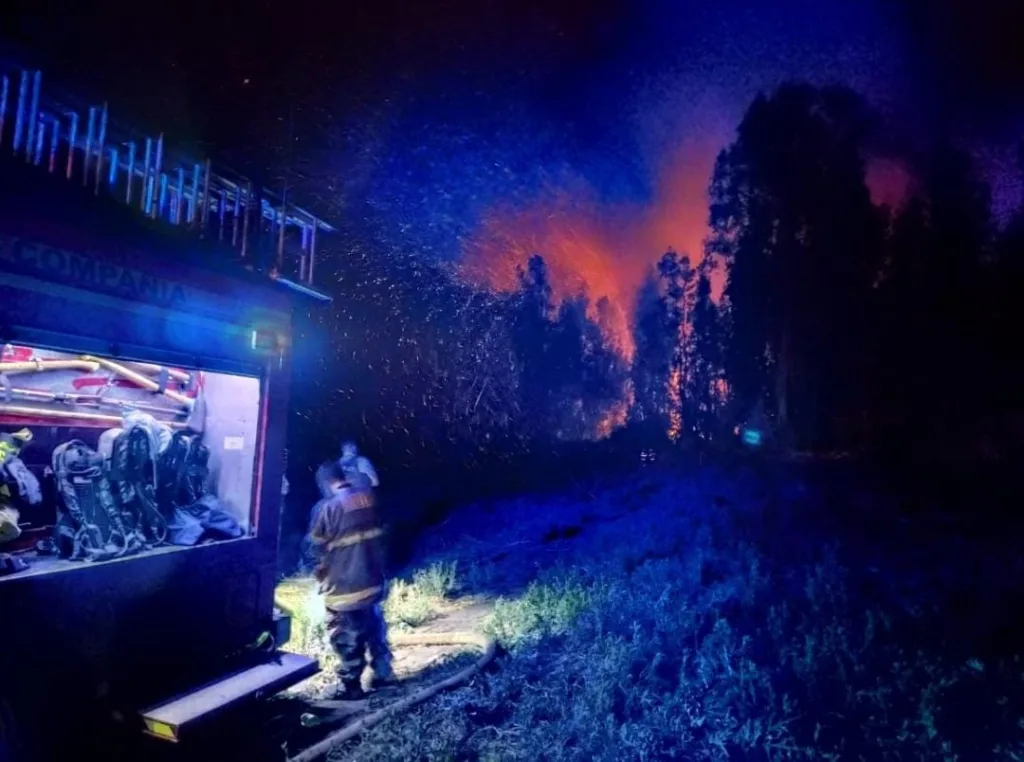Bomberos trabajaron incansablemente para controlar Incendio Forestal en el Bosque de La Chimba de Ovalle 1 Bomberos trabajaron incansablemente para controlar Incendio Forestal en el Bosque de La Chimba de Ovalle