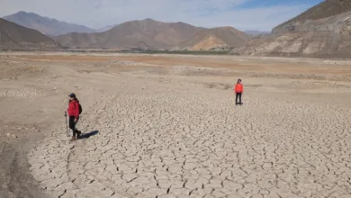Últimas precipitaciones en la Región de Coquimbo dan un alivio pero no terminan con situación de escasez hídrica