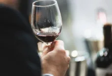 Beneficios del Vino Orgánico: Una alternativa saludable al vino convencional