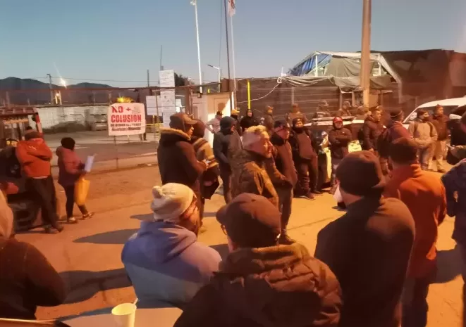 Postureros demandan a la Municipalidad de Ovalle por secuestro 1 Postureros demandan a la Municipalidad de Ovalle por secuestro