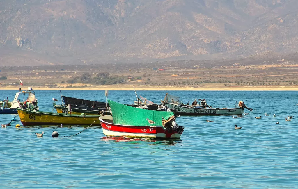 Guanaqueros: Pescador muere tras quedar atrapado en embarcación 1 Guanaqueros: Pescador muere tras quedar atrapado en embarcación