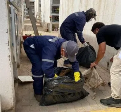 Desaparecen 15 cuerpos en cementerios municipales de La Serena: alcaldesa presenta querella 2 Desaparecen 15 cuerpos en cementerios municipales de La Serena: alcaldesa presenta querella