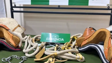 Vicuña: Carabineros recuperó más de $3 millones en monturas e implementos de cabalgata y detuvo a un hombre 7 Vicuña: Carabineros recuperó más de $3 millones en monturas e implementos de cabalgata y detuvo a un hombre